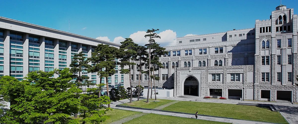 高丽大学